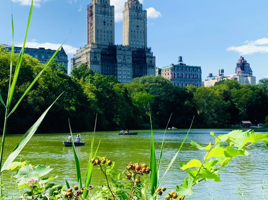 IMG_4469.jpg?type=w966