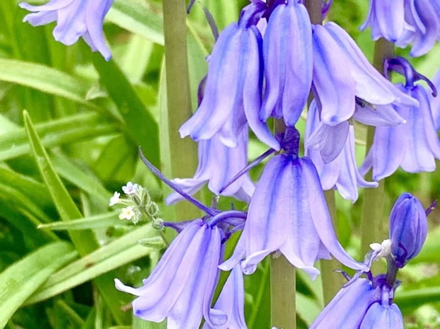 IMG_9590.jpg?type=w966