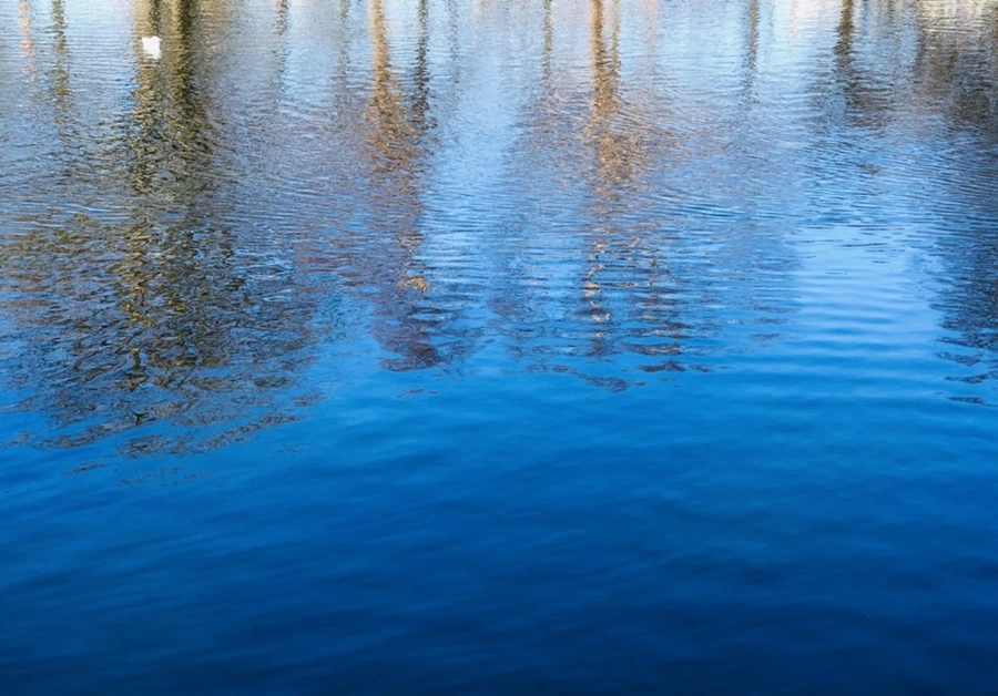 IMG_9763.jpg?type=w966