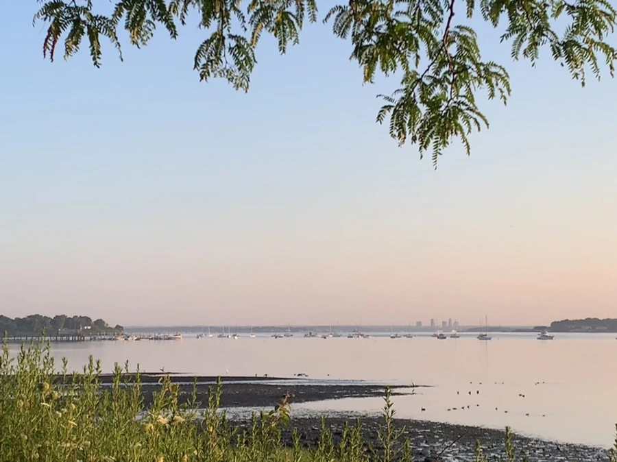 IMG_0246.jpg?type=w966