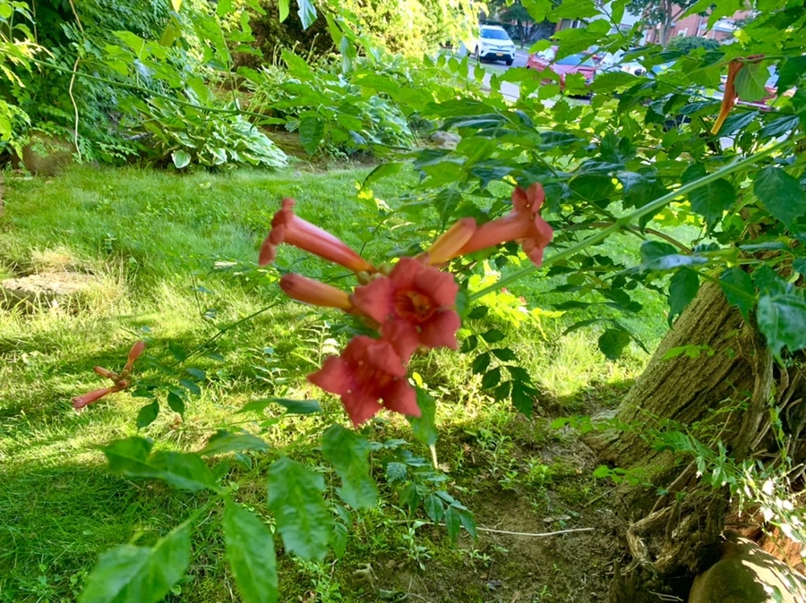 IMG_6495.jpg?type=w966