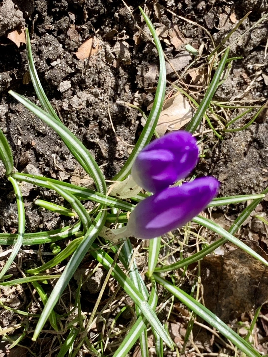 IMG_7472.jpg?type=w966