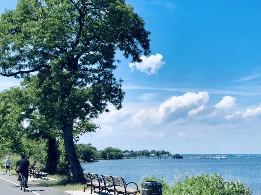 IMG_9756.jpg?type=w966