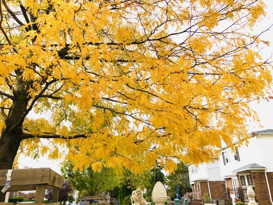 IMG_2368.jpg?type=w966