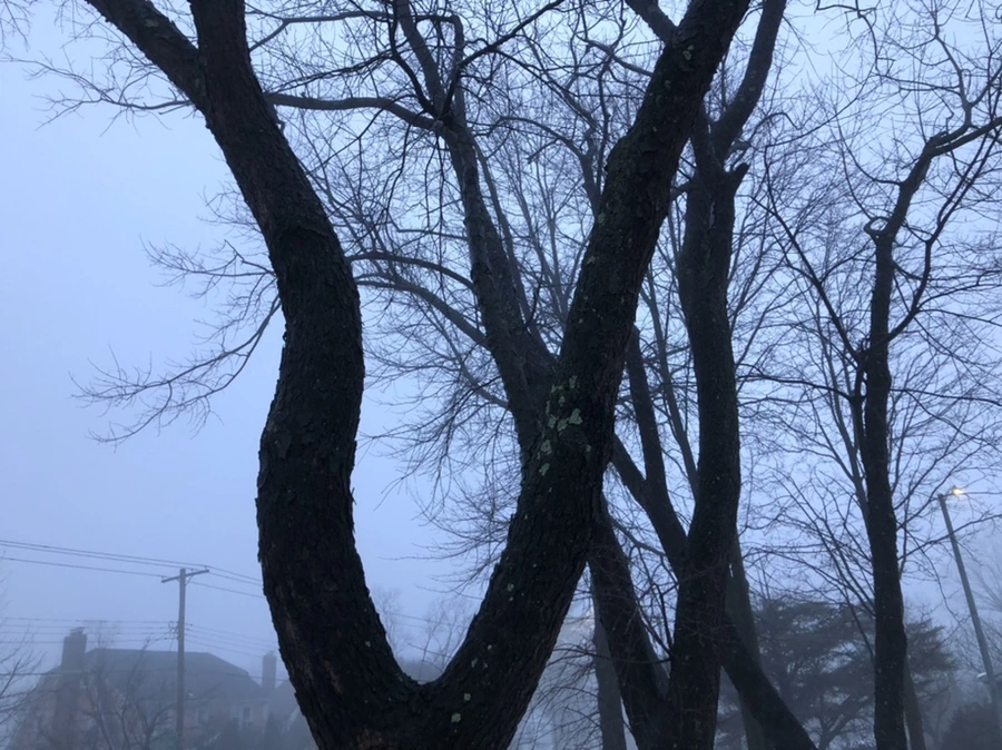 IMG_2788.jpg?type=w966