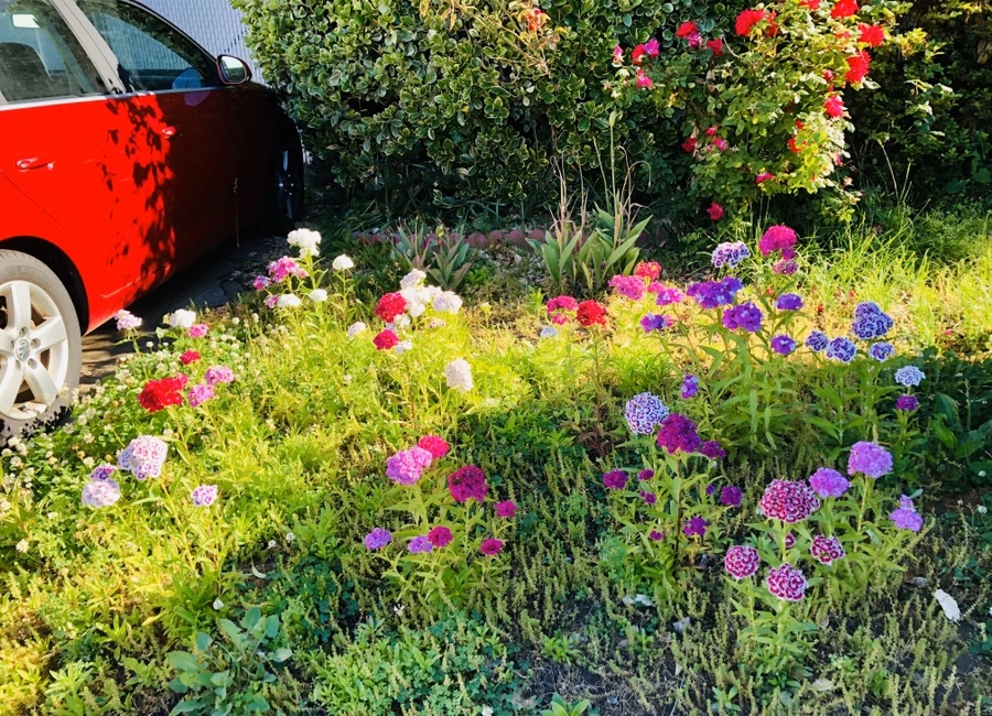 IMG_8431.jpg?type=w966