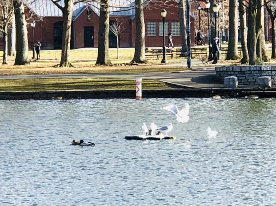 IMG_9240.jpg?type=w966