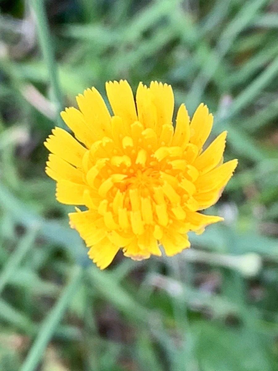 IMG_5344.jpg?type=w966