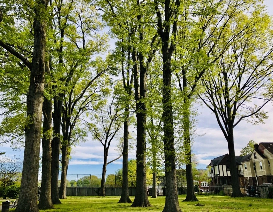 RV5tfybBRAnPeKz2OWZvd1agihs