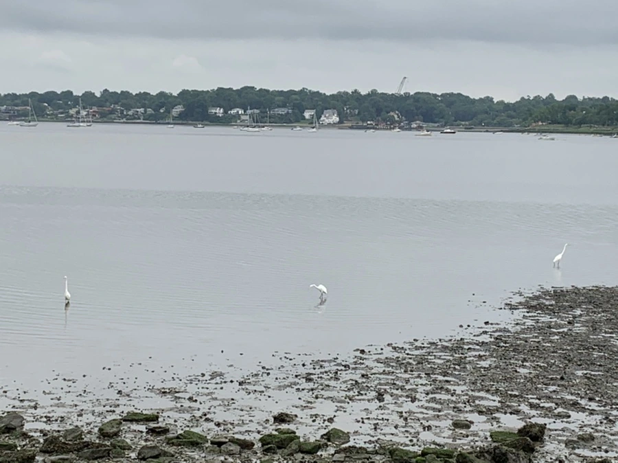 IMG_3674.jpg?type=w966