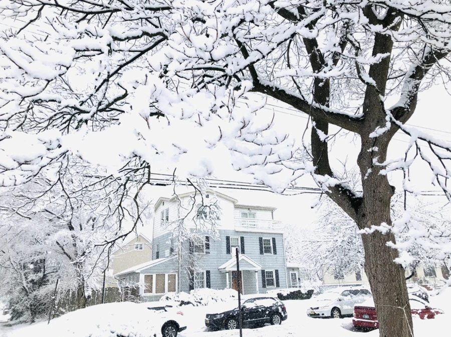 IMG_0991.jpg?type=w966