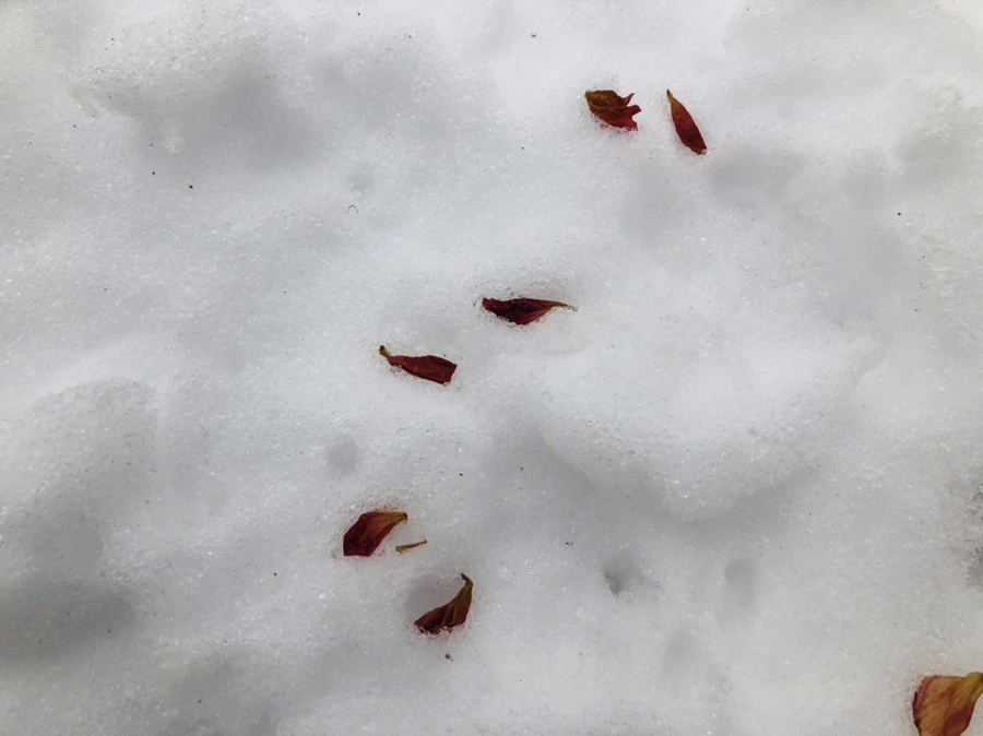 IMG_1579.jpg?type=w966