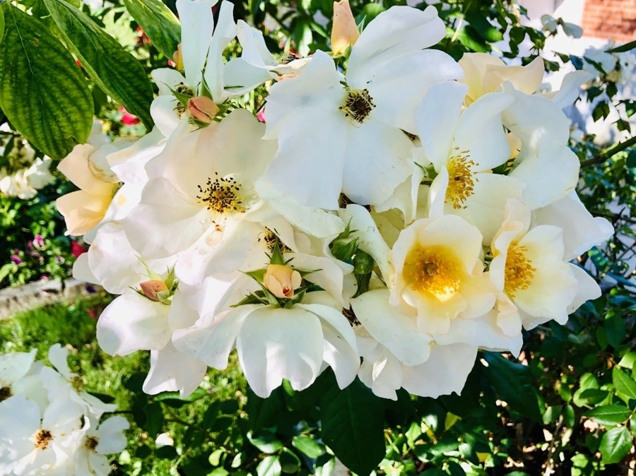 s-Hdr4xX63RzxHUef-NkuJzSL9Q