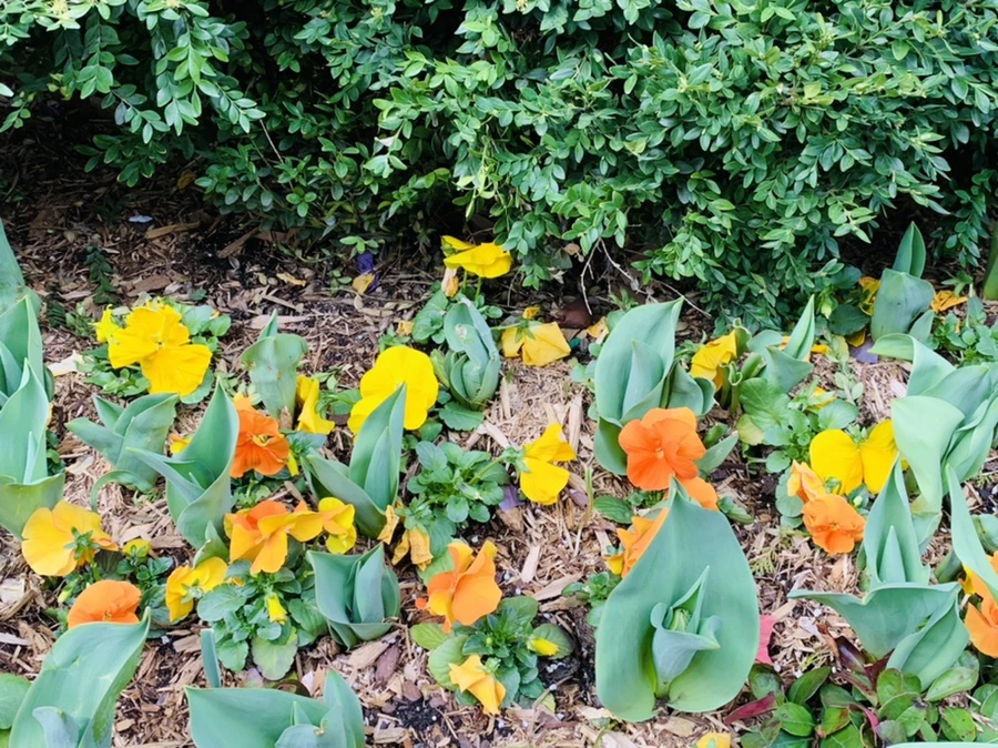 IMG_4672.jpg?type=w966