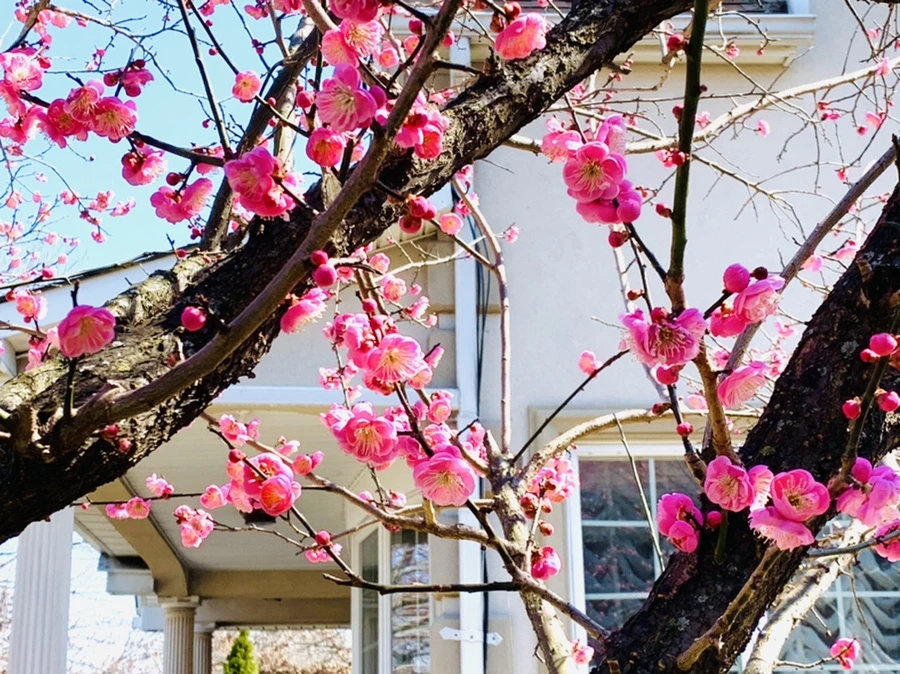 IMG_3001.jpg?type=w966