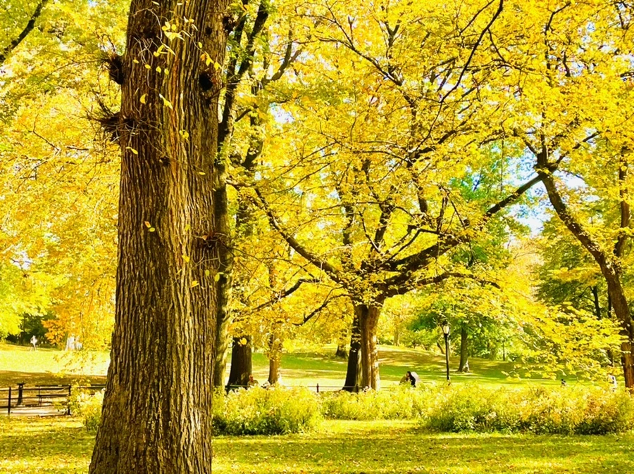 IMG_1574.jpg?type=w966