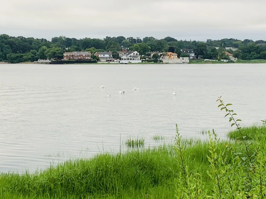 IMG_7112.jpg?type=w966