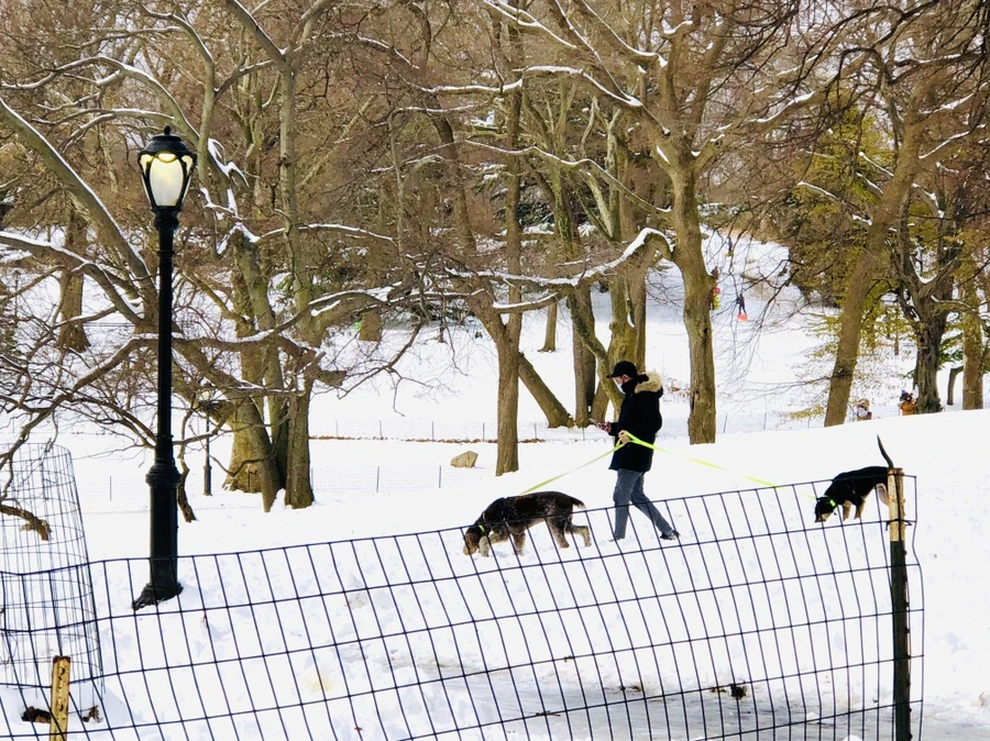 IMG_7266.jpg?type=w966