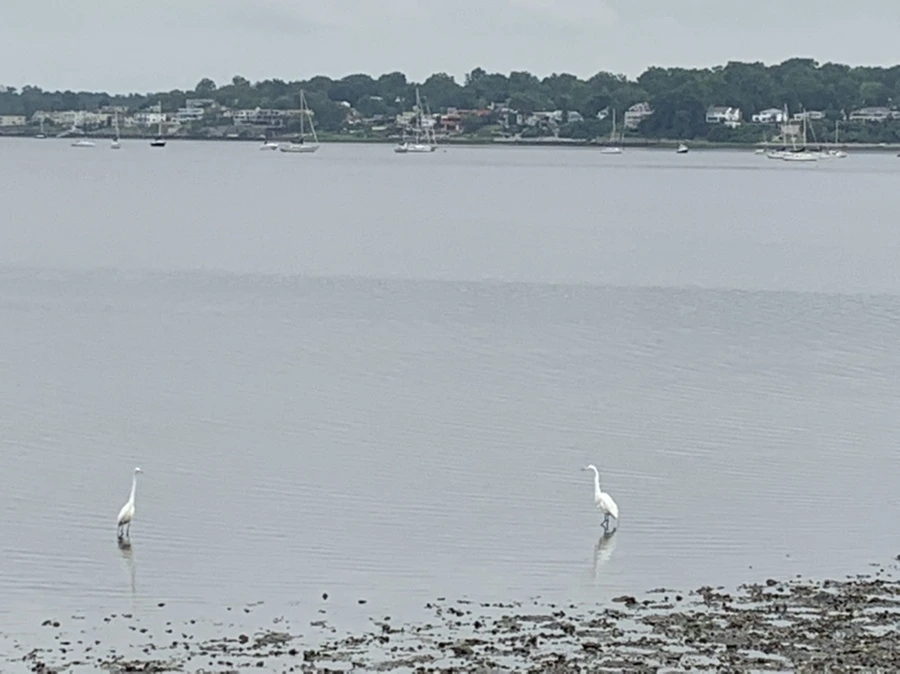 IMG_3681.jpg?type=w966