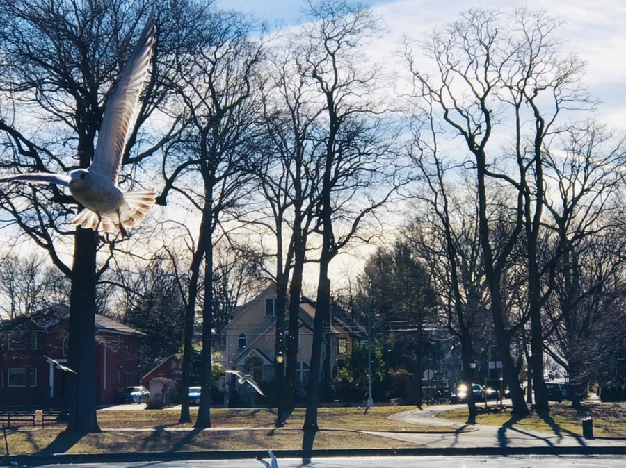 IMG_5333.jpg?type=w966