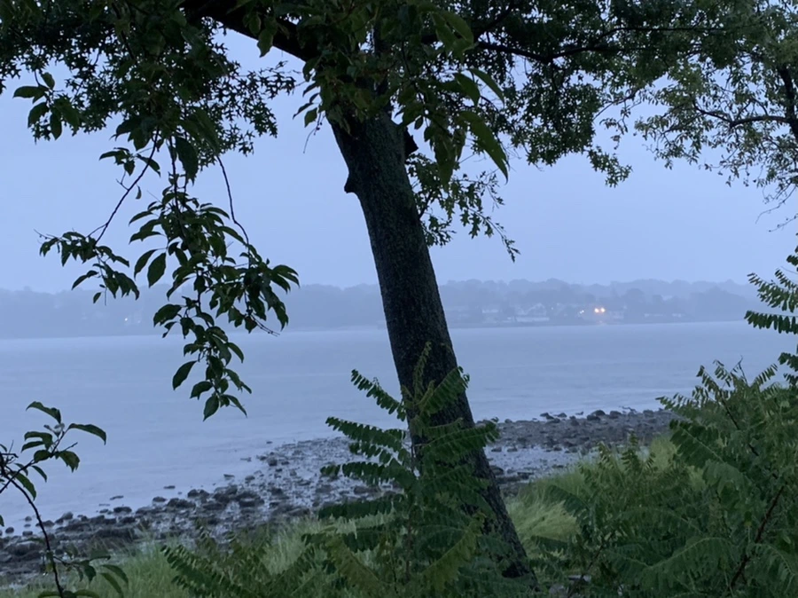 IMG_3868.jpg?type=w966