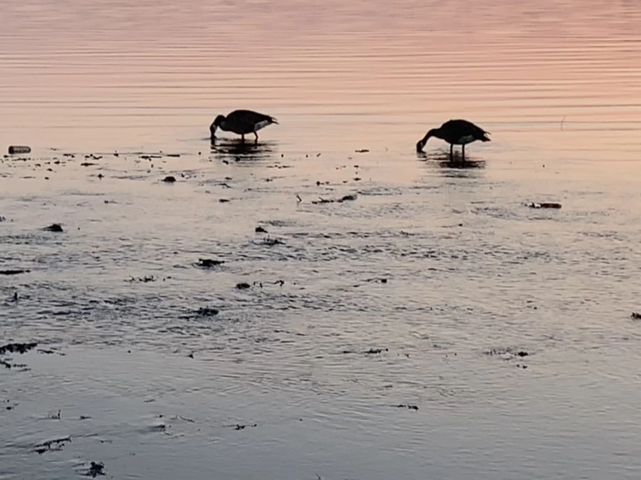 IMG_0100.jpg?type=w966