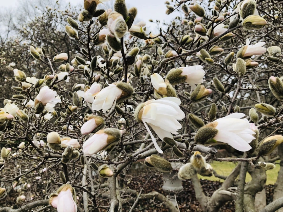 IMG_2001.jpg?type=w966