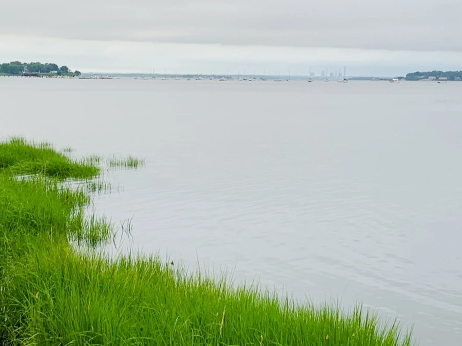 IMG_7054.jpg?type=w966