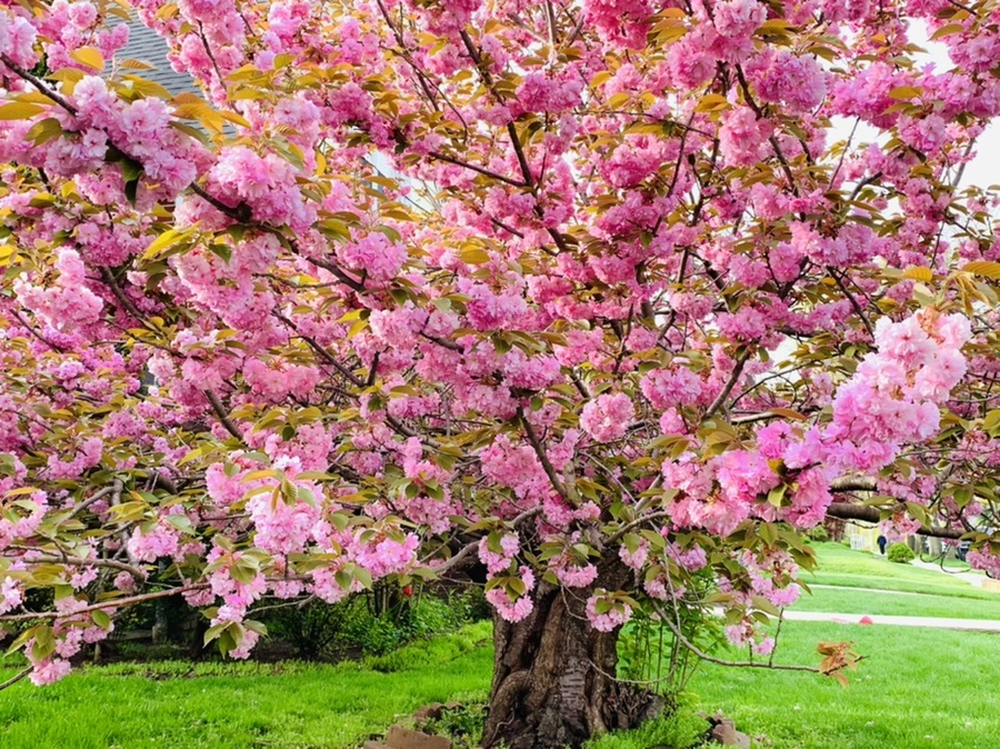 IMG_6708.jpg?type=w966