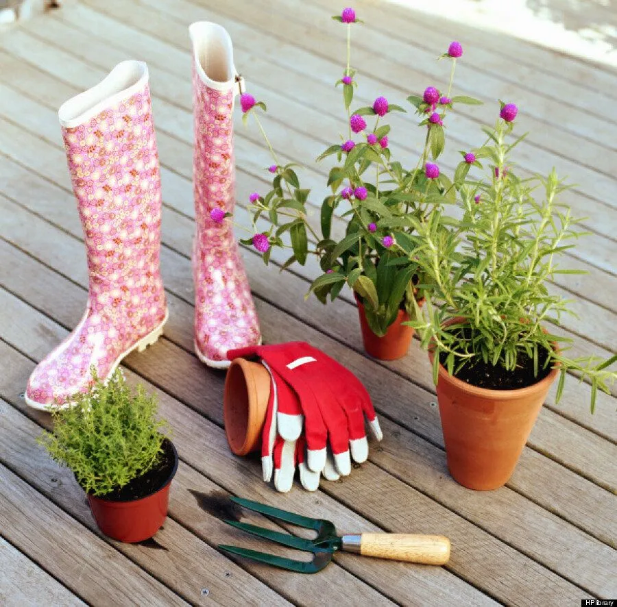 5d8129223b00002b88d61e80.jpeg?ops=scalefit_960_noupscale