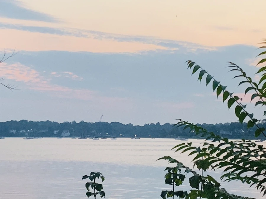 IMG_2266.jpg?type=w966