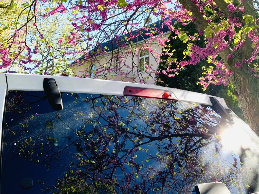 IMG_0425.jpg?type=w966