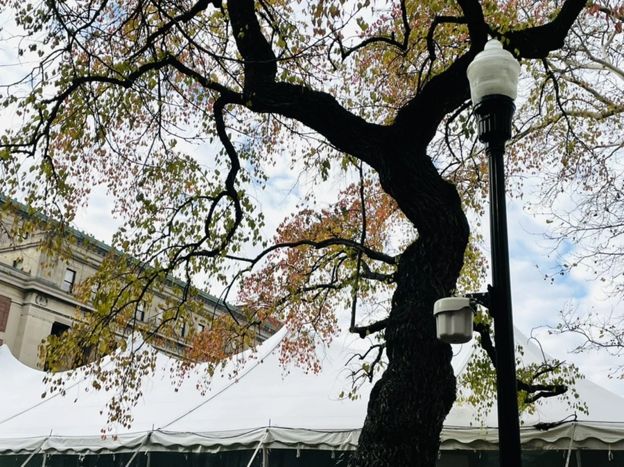 IMG_6308.jpg?type=w966