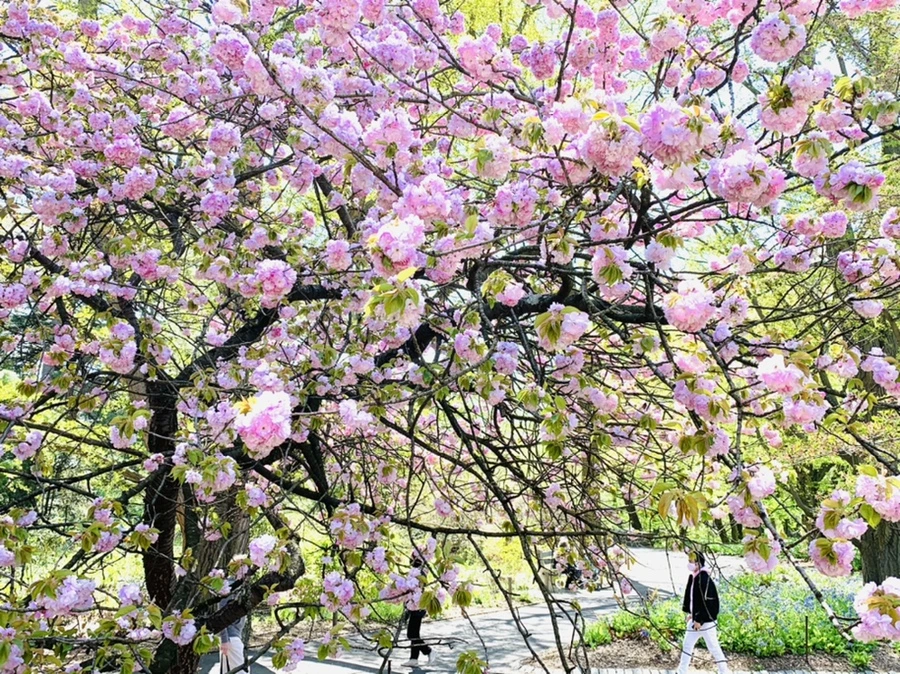 IMG_4626.jpg?type=w966