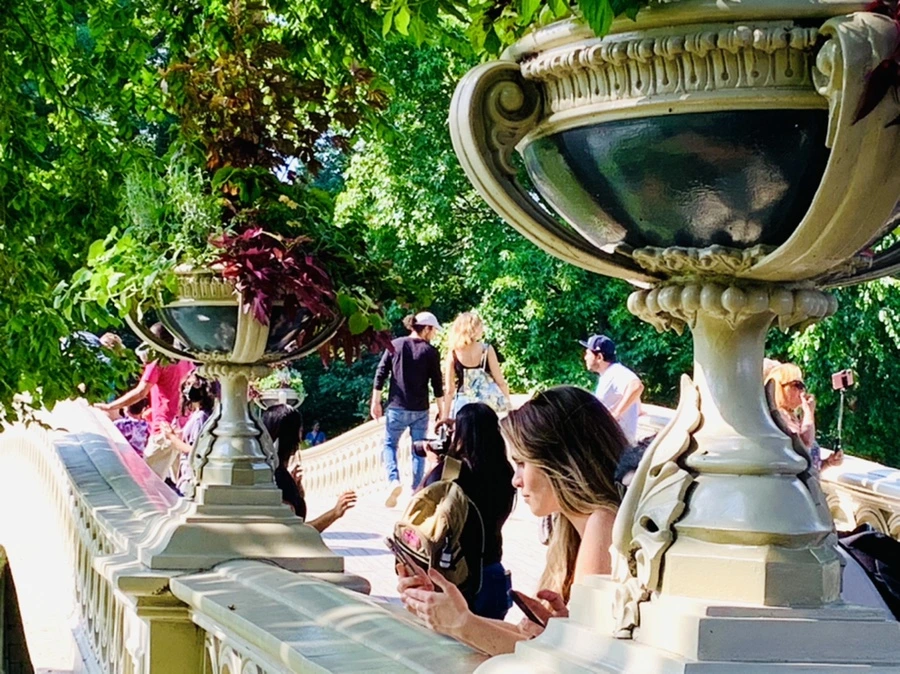 IMG_3480.jpg?type=w966