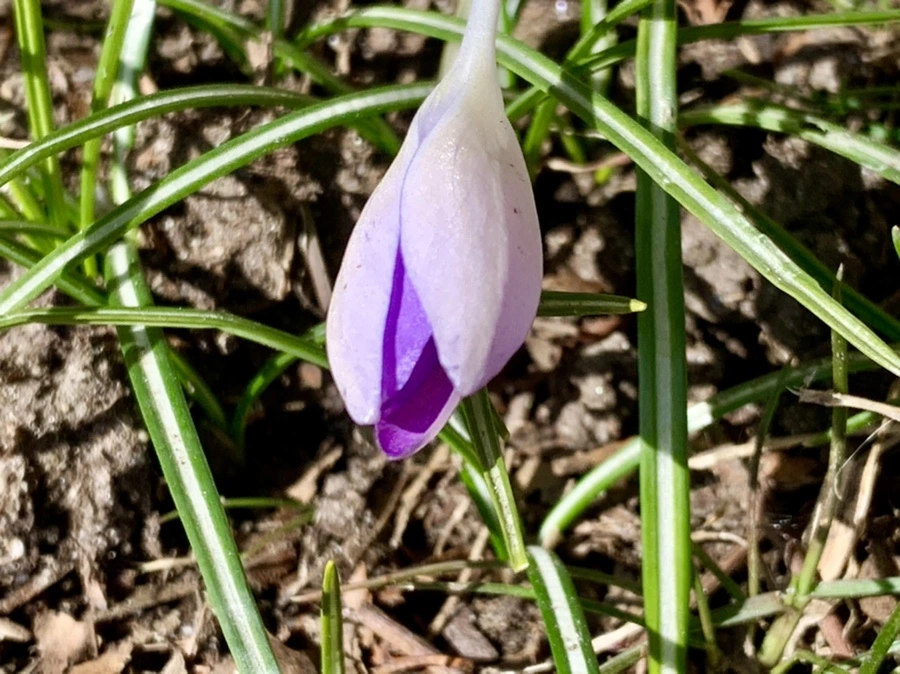 IMG_7468.jpg?type=w966