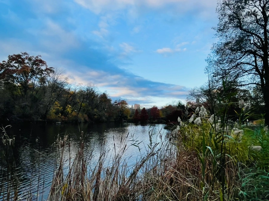 IMG_5300.jpg?type=w966