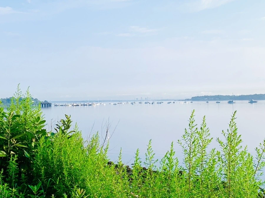 l0TFeO-3EHftIEF5x0shqxa3m7I