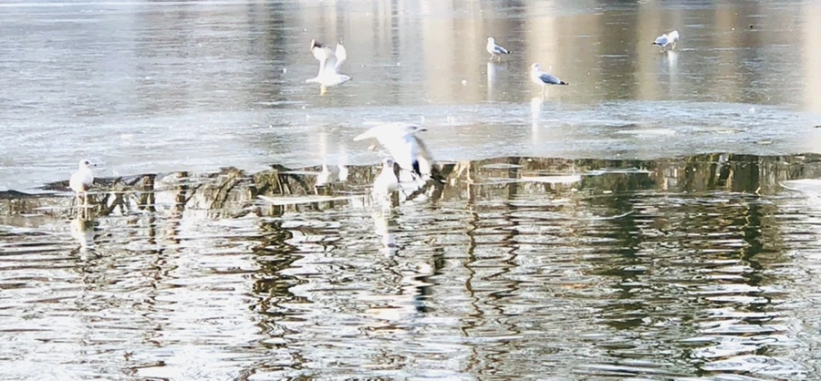 IMG_2693.jpg?type=w966