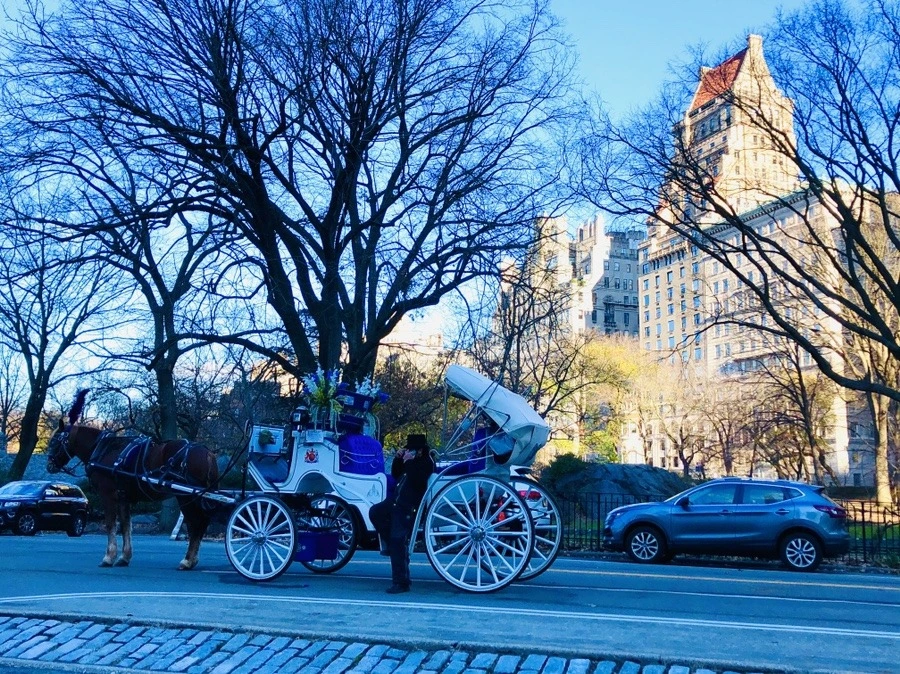 pJljLZqSTzqqVwkwvl0U_KGhi3w