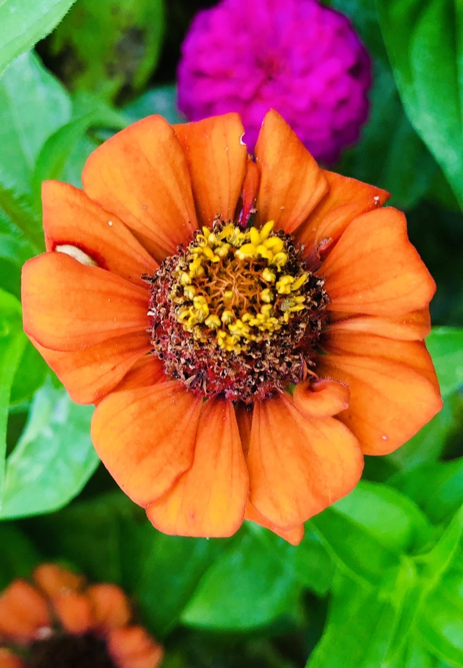 IMG_3637.jpg?type=w966