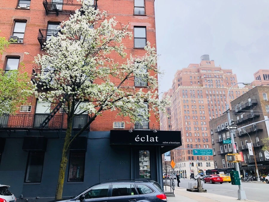 IMG_4951.jpg?type=w966