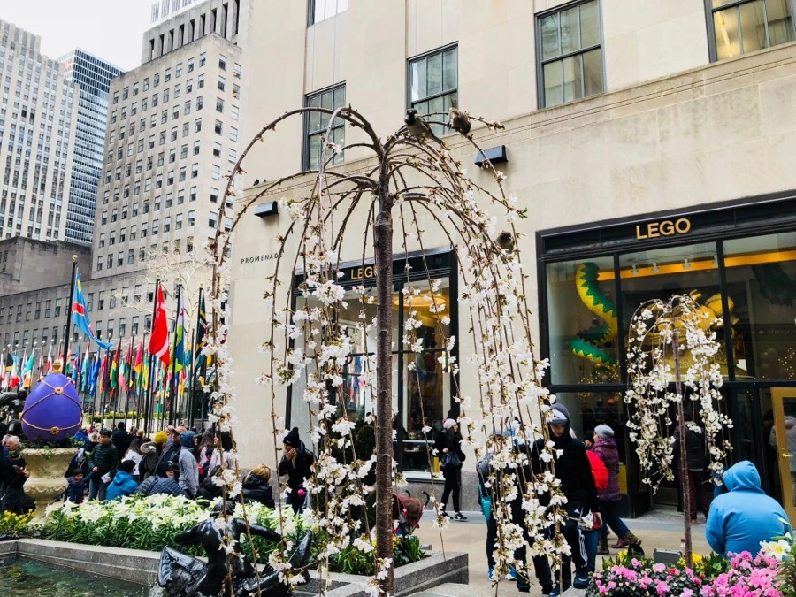 IMG_4094.jpg?type=w966