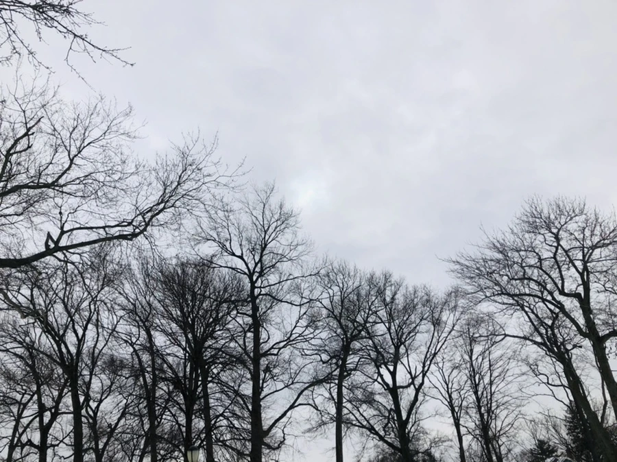 IMG_2596.jpg?type=w966