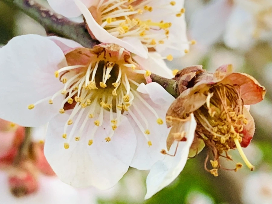 IMG_2810.jpg?type=w966