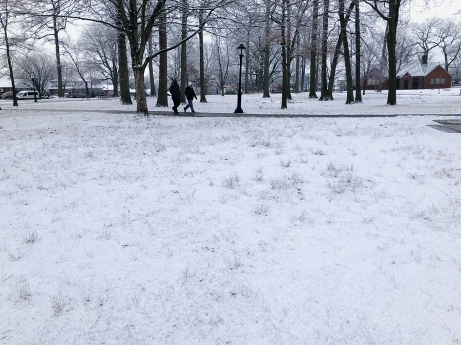 IMG_4508.jpg?type=w966