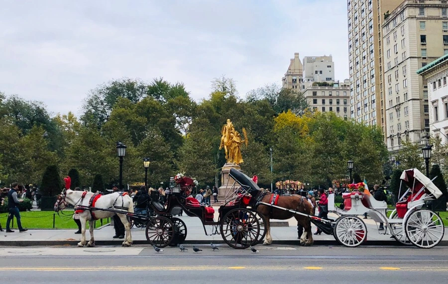 IMG_7152.jpg?type=w966