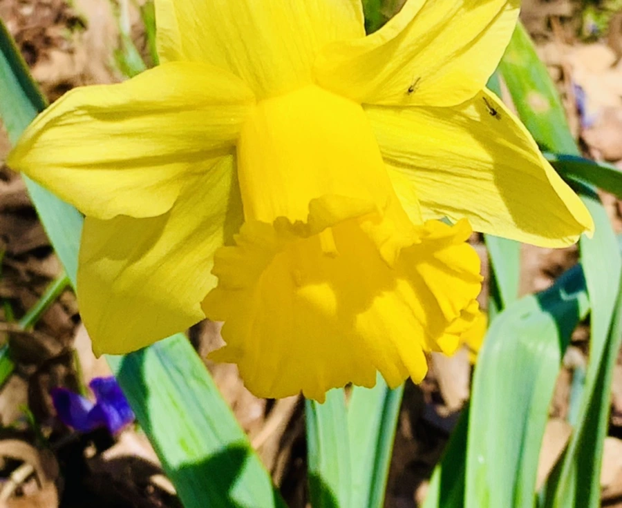 IMG_3165.jpg?type=w966