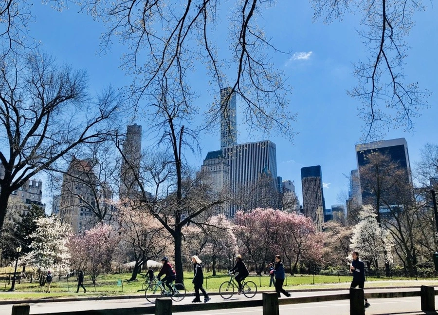 vKhQh9tG-E2B6Qz-d-57trlinEk