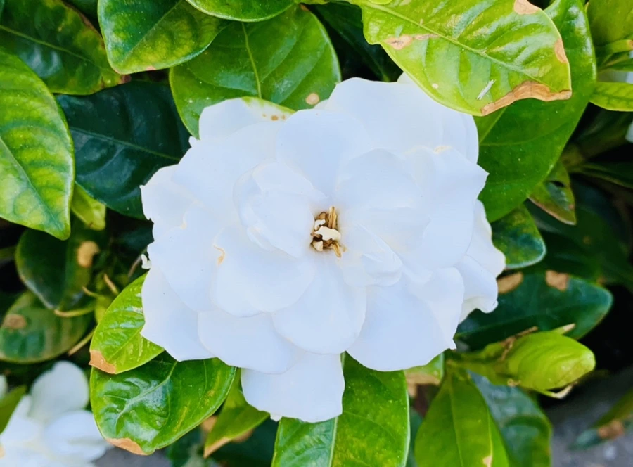 IMG_0535.jpg?type=w966